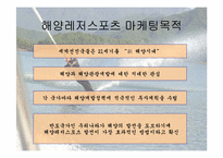 [스포츠마케팅] 해양레저스포츠 활성화 방안-3