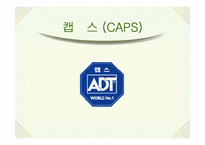 [마케팅분석] 보안업체(주)캡스(CAPS) 마케팅-1