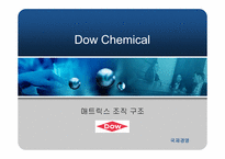 [국제경영] Dow Chemical의 매트릭스 조직구조-1