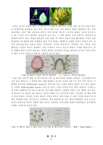 원예작물학1 A형 과제물 박과채소의 암꽃과 수꽃의 구조와 딸기의 과실과 꽃의 구조에 대하여 설명하라-5
