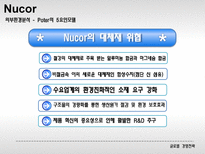 Nucor의 외부분석과 전략선택 미국 뉴코 Nucor 외부분석 Nucor 전략선택-15