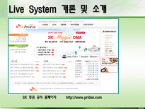 SK증권 고객 마케팅 시스템-LIVE System-11