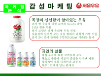 서울우유의 성공적 마케팅 전략 분석 서울우유 기업현황 서울우유 기업 분석-20