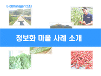 농산물 전자 상거래 강원도 황둔 송계 정보화마을 정보화마을 농산물 ec 성과와 한계점-3