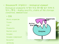 자연과학 바이오 센서 Biosensor-14