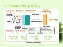 자연과학 바이오 센서 Biosensor-18