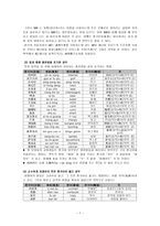 인문어학 현대 중국의 외래어-9