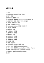 [경찰학개론] 지역중심의 경찰-2