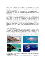 바다의 신비 보고서1-13