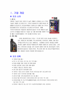 [마케팅믹스전략] sk 지크의 중국진출 및 마케팅전략-3
