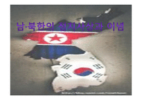 남북한의 정치사상과 이념 남북한 분단 배경 남북한 대립 남한 정치사상 남한-1