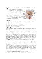 뇌동맥류 Cerebral aneurysm 뇌동맥류Cerebralaneu 뇌동맥류정의-3
