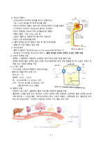 간호학 비뇨기계 구조와 기능-5
