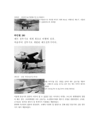 항공기의 역사 레포트-8