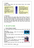 [마케팅] 한국시장의 SK ZIC를 중심으로 한 마케팅믹스전략-8