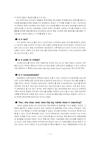 인터넷포탈 네이버(Naver) 비즈니스분석-11