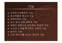 한국의 민속 - 민속신앙-10