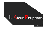 지역연구(필리핀) 정치-3