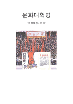 문화대혁명 - 패왕별희, 인생-1