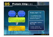 [면역분석화학] 단백질칩-6