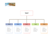 4월 벚꽃 나무 배경파워포인트 PowerPoint PPT 프레젠테이션-15