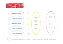 화사한 장미꽃 예쁜 따뜻한 분위기 봄 4월 예쁜꽃 빨강 배경파워포인트 PowerPoint PPT 프레젠테이션-12