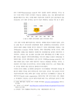 한국기업 중국시장 진출 성공과 실패사례연구-7