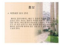 국내외 병원 홍보 서울대학교 병원 메이요클리닉-11