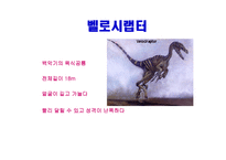 공룡의 멸종 레포트-10