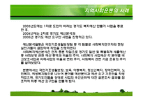 한국의 지역사회복지운동 사례지역복지 시민연대 등-18