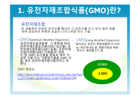 유전자 재조합 식품 GMO-3