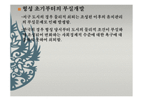 한국 도시 쇠퇴의 원인과 특성 한국 도시 쇠퇴의 원인과 특성-10