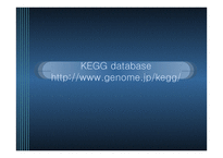 KEGGdatabase 레포트-1