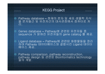 KEGGdatabase 레포트-3