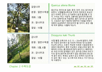 한국 도로공사 수목원 현장학습보고서-6