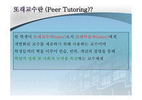PeerTutoring또래 교수-4