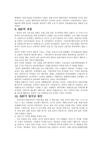 정치문화와 시민사회 김영삼 문민정부와 IMF시대-6