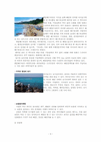 [해양관광론] 서귀포 해양관광의 활성화 방안-9