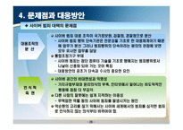한국의 사이버범죄 효율적 대응방안 연구-20