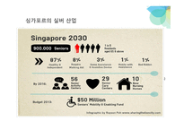 싱가포르의 의료관광을 통한 한국의료관광에 대한 시사점-4