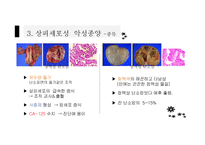 간호학 상피성 난소의 종양 상피 세포성 악성종양 양성종양-8
