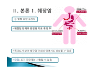 간호학 조 췌장암 췌장암 원인 병태생리 및 증상 증후 진단-15