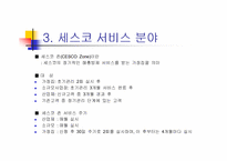 [인터넷마케팅]세스코 사이트 분석-13