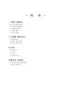[마케팅]LG `CYON`싸이언의 마케팅활동 분석-13