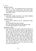 [경영]노키아 국제경영 전략 사례-19