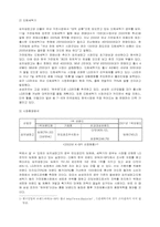 [마케팅]삼성전자 `하우젠` 마케팅 사례연구-4