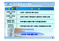 [브랜드와 소비자행동]`빈폴`bean pole의 마케팅전략과 브랜드이미지소비자만족도에 대한 조사-3