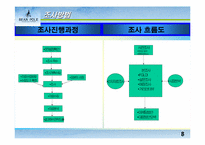 [브랜드와 소비자행동]`빈폴`bean pole의 마케팅전략과 브랜드이미지소비자만족도에 대한 조사-8
