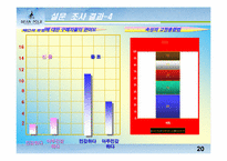 [브랜드와 소비자행동]`빈폴`bean pole의 마케팅전략과 브랜드이미지소비자만족도에 대한 조사-20