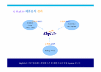 [마케팅]스카이라이프 `SkyLife` 100만 유지 마케팅 전략-9